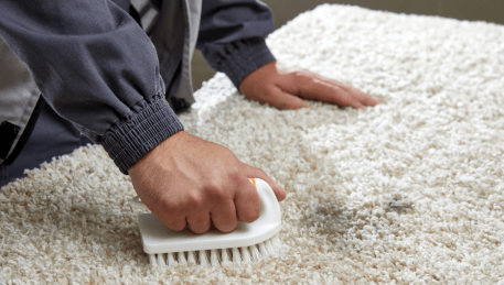 Professional Rug Cleaning Avonsleigh